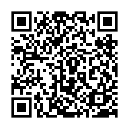 QR code for 313 BAS