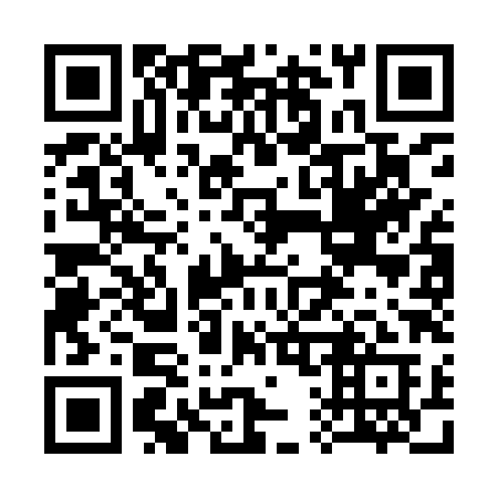 QR code for 313 IXA