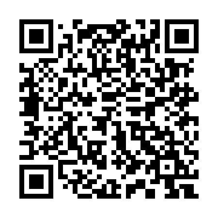 QR code for 313 MEM
