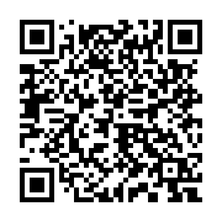 QR code for 313 MSR