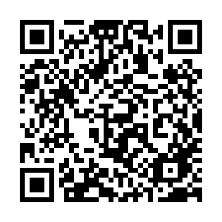 QR code for 313 PXG