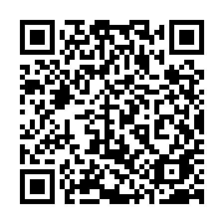 QR code for 313 QPA