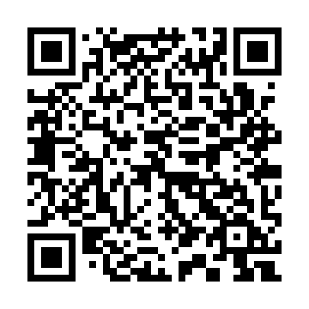 QR code for 313 QYF