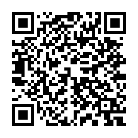 QR code for 313 TQP