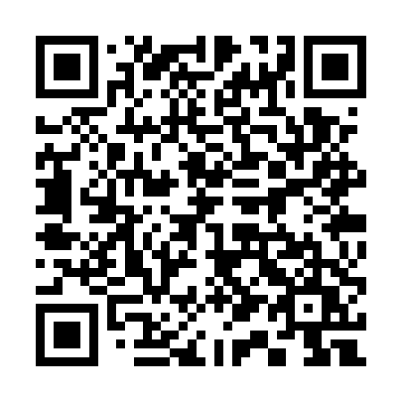 QR code for 313 UTU