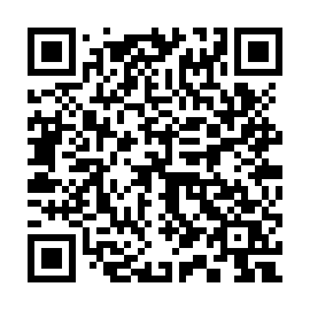 QR code for 313 ZUS