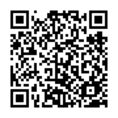 QR code for 313FAD