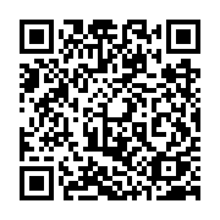 QR code for plate 313 GQQ