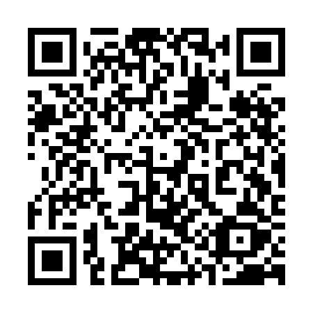 QR code for plate 313 HBZ