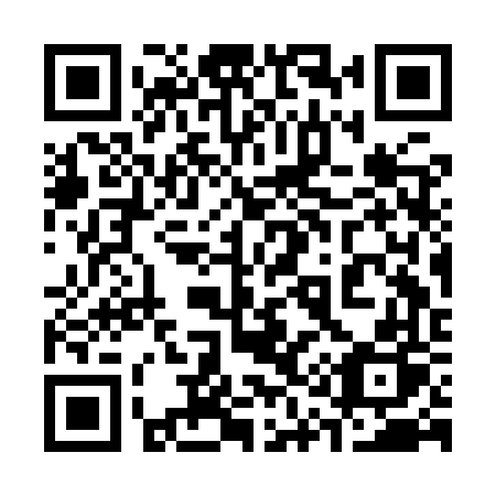 QR code for plate 313 IVP