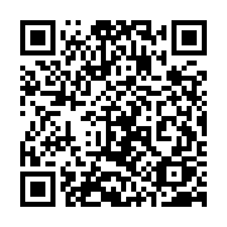 QR code for plate 313 IWP