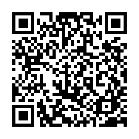 QR code for plate 313 MIC