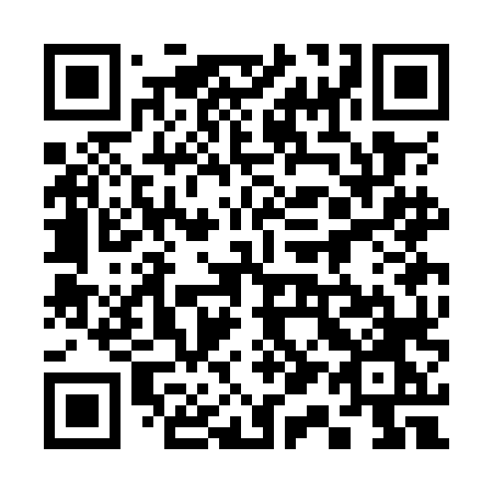 QR code for plate 313 OLO