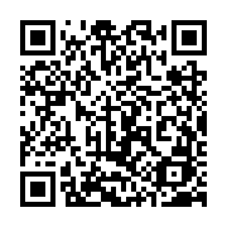 QR code for plate 313 SVJ