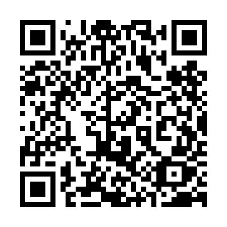QR code for plate 313 TEZ