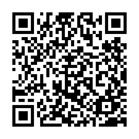 QR code for plate 313 TIT