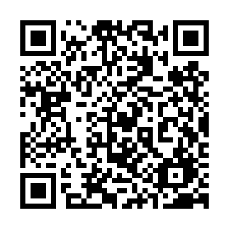 QR code for 313TRD