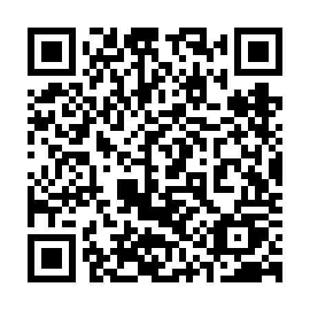 QR code for plate 313 VOU