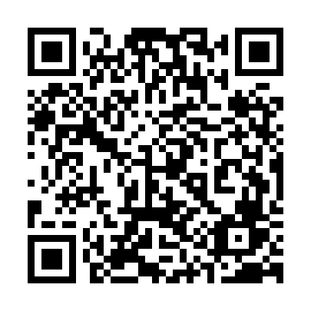 QR code for plate 315 HVV