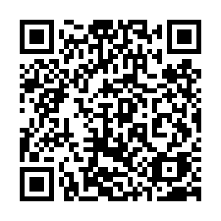 QR code for 317 DSA
