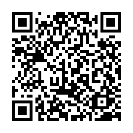 QR code for 317 HZS