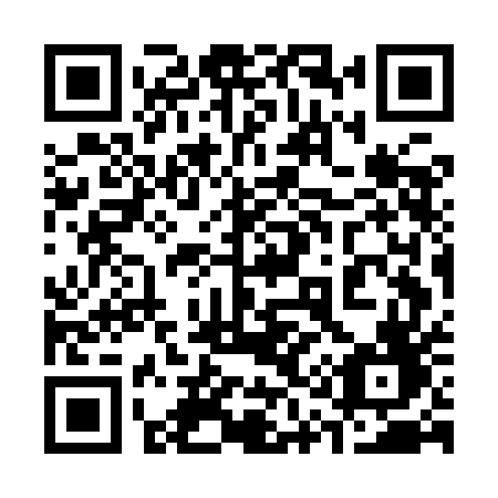 QR code for 317 IEF