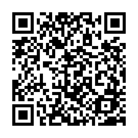 QR code for 317 MDJ