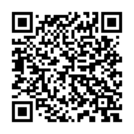 QR code for plate 317 GPS