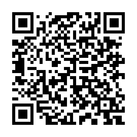 QR code for 319 DAQ