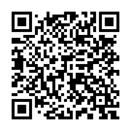 QR code for 319 LUZ