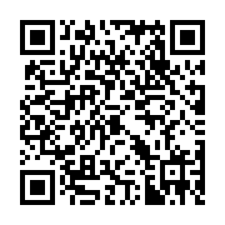 QR code for 325 PGX