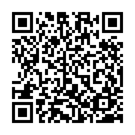QR code for 325HIR