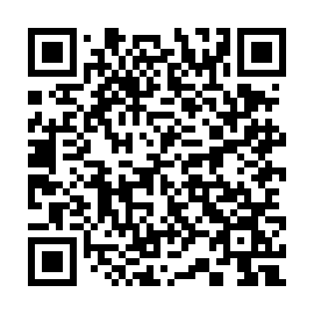 QR code for plate 328 DNN