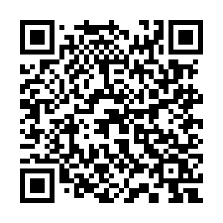 QR code for plate 330 MNV
