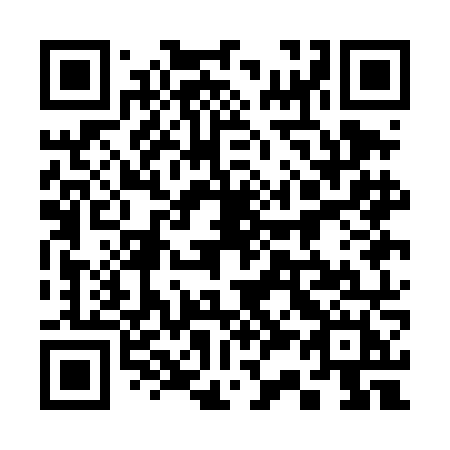 QR code for plate 331 DNH