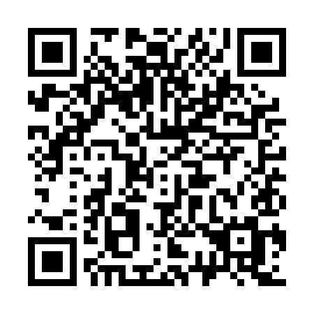 QR code for plate 331 PIM