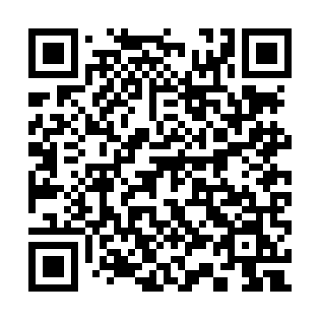 QR code for plate 332 LMN
