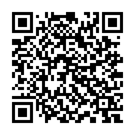 QR code for 333 POS