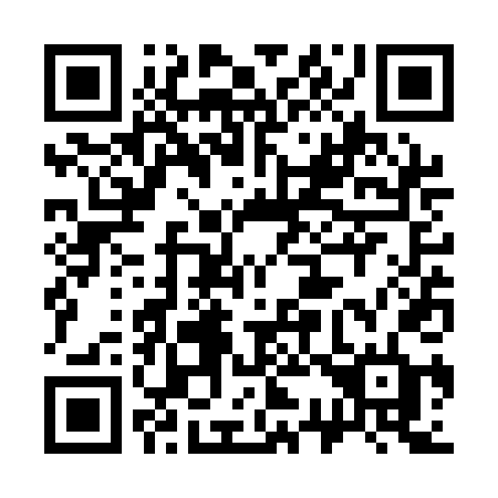 QR code for 333 QDD
