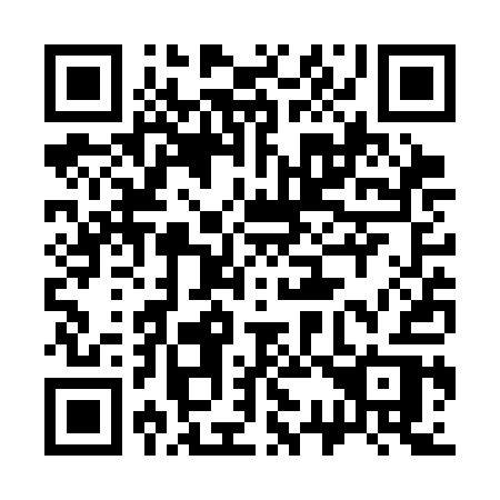 QR code for 333 SAR