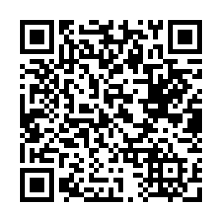 QR code for 333 VGD