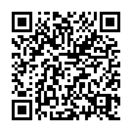 QR code for 333 XDP