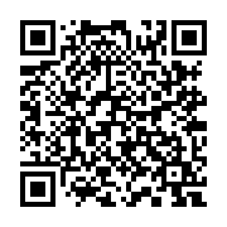 QR code for 333 XIU