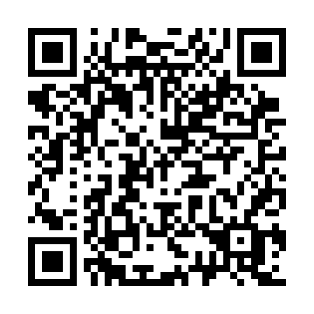 QR code for plate 333 CDF