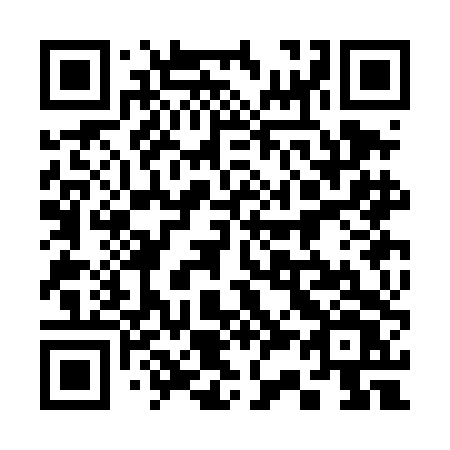 QR code for plate 333 DDV