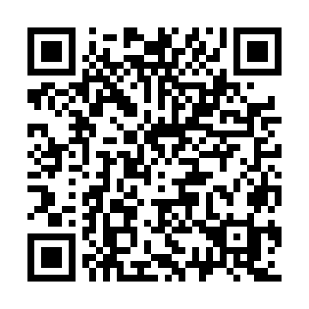 QR code for plate 333 DOI