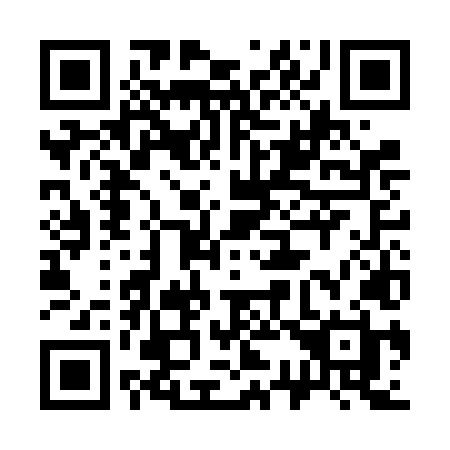 QR code for plate 333 FLH