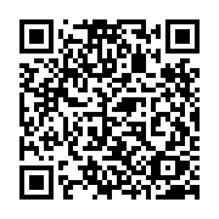 QR code for plate 333 LGX