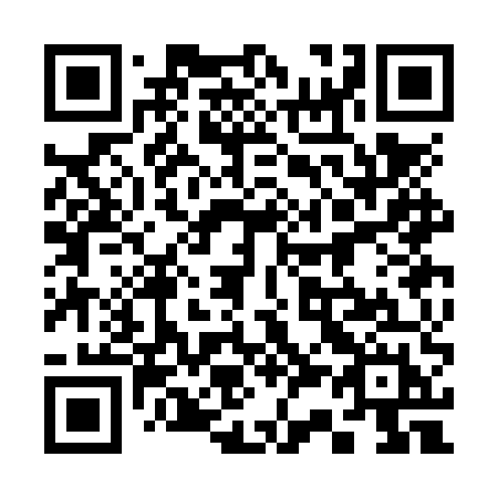 QR code for plate 333 NUH