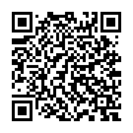 QR code for plate 333 RMS